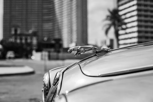 Kaszinó Extra Android/iOS Alkalmazás